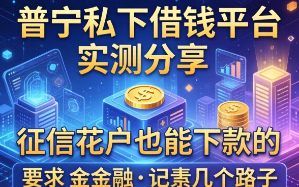 普宁私下借钱平台实测分享，征信花户也能下款的几个路子