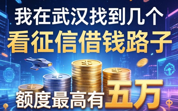 我在武汉找到几个不看征信的借钱路子，额度最高有五万