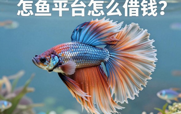斗鱼平台怎么借钱？老用户亲测这几个渠道下款稳
