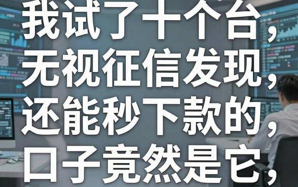 我试了十个平台，发现无视征信还能秒下款的口子竟然是它