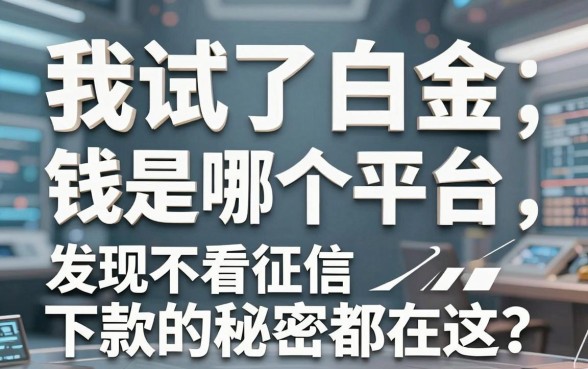 我试了白金借钱是哪个平台,发现不看征信下款的秘密都在这