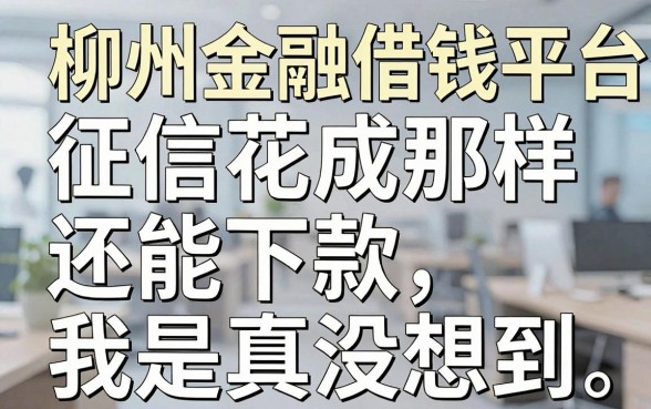 聊聊柳州金融借钱平台：征信花成那样还能下款，我是真没想到