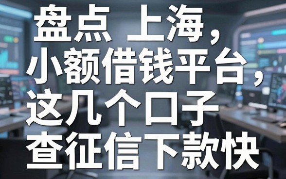 盘点上海小额借钱平台，这几个口子不查征信下款快