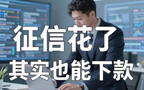 聊聊网上平台借钱处理那点事：征信花了其实也能下款