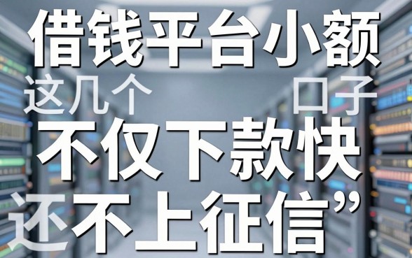 揭秘借钱平台小额：这几个口子不仅下款快还不上征信
