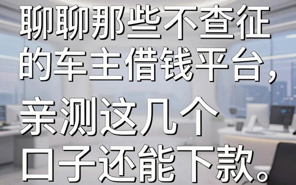 聊聊那些不查征信的车主借钱平台，亲测这几个口子还能下款