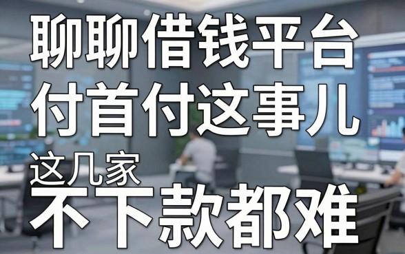 聊聊借钱平台付首付这事儿，这几家不下款都难