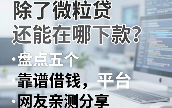除了微粒贷还能在哪下款？盘点五个靠谱借钱平台，网友亲测分享