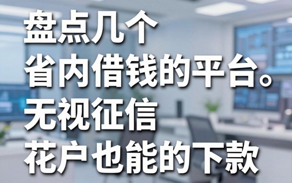 盘点几个省内借钱的平台，无视征信花户也能下款