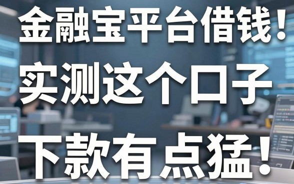 揭秘金融宝平台借钱：实测这十个口子下款有点猛