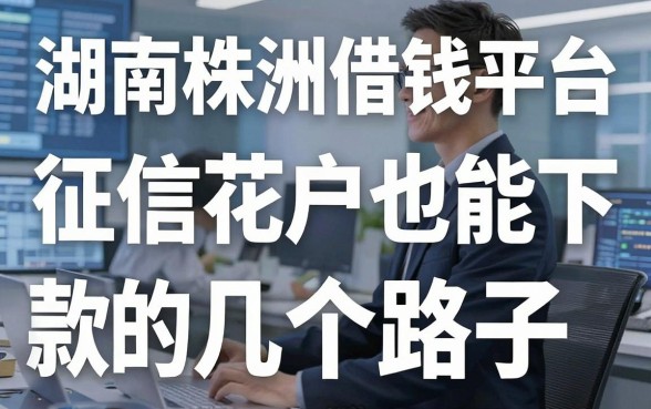 湖南株洲借钱平台实测分享：征信花户也能下款的几个路子