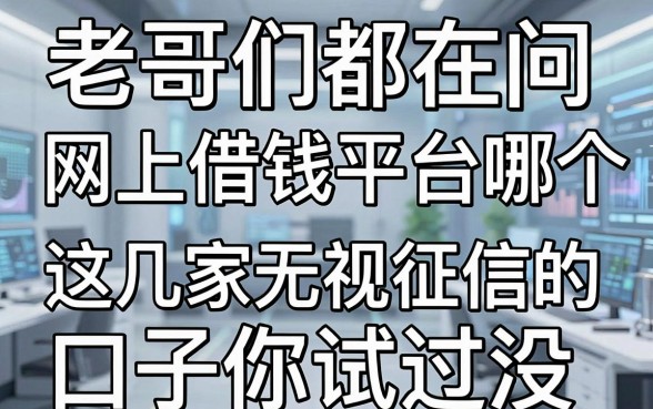 老哥们都在问网上借钱平台哪个正规，这几家无视征信的口子你试过没？