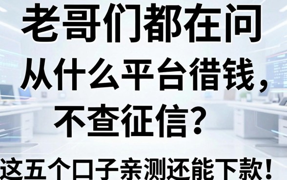 老哥们都在问从什么平台借钱不查征信？这五个口子亲测还能下款