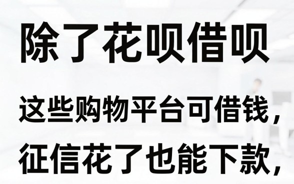 除了花呗借呗，这些购物平台可借钱，征信花了也能下款
