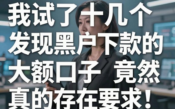 我试了十几个平台，发现黑户下款的大额口子竟然真的存在