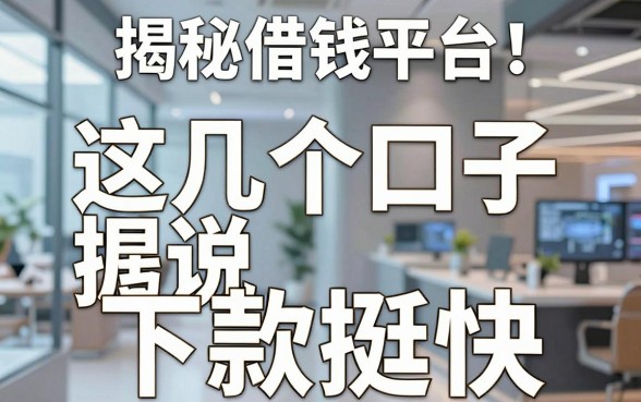 揭秘小学借钱平台：这几个口子据说下款挺快