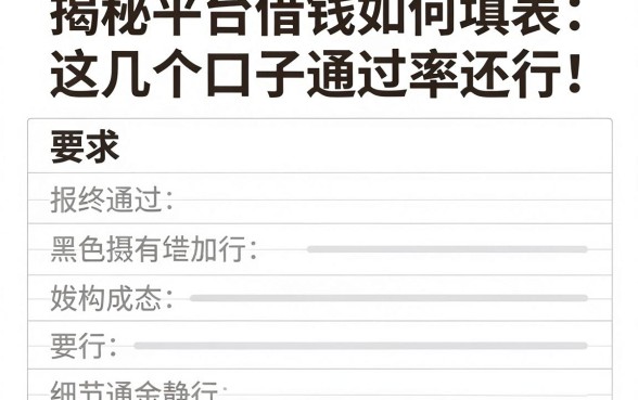 揭秘平台借钱如何填表，这几个口子通过率还行