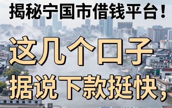 揭秘宁国市借钱平台：这几个口子据说下款挺快