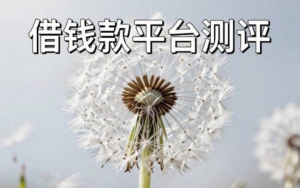 蒲公英借钱款平台测评：整理出这些通过率高的渠道