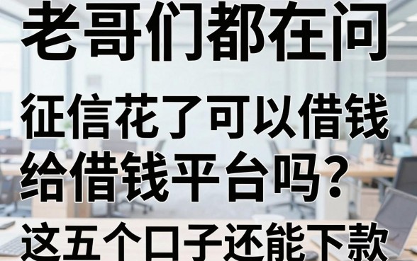 老哥们都在问：征信花了可以借钱给借钱平台吗？实测这五个口子还能下款