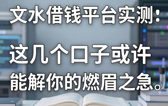 文水借钱平台实测：这几个口子或许能解你的燃眉之急