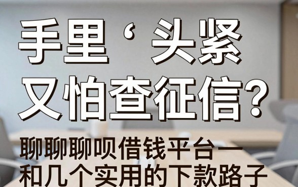 手里头紧又怕查征信？聊聊聊呗借钱平台和几个实用的下款路子
