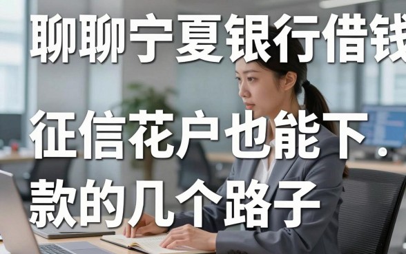聊聊宁夏银行借钱平台之外的选择：征信花户也能下款的几个路子