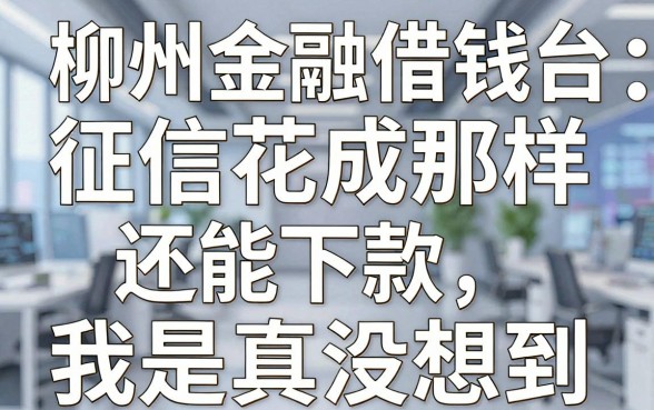 聊聊柳州金融借钱平台：征信花成那样还能下款，我是真没想到