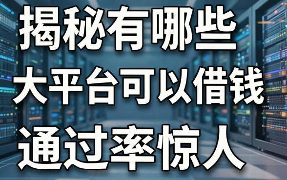 揭秘有哪些大平台可以借钱，这几个隐藏渠道通过率惊人