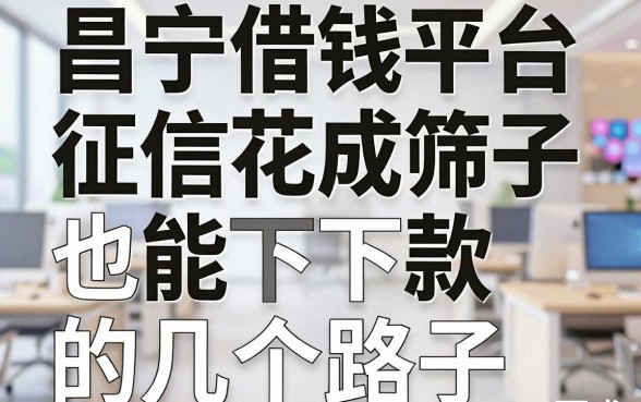 昌宁借钱平台实测分享：征信花成筛子也能下款的几个路子