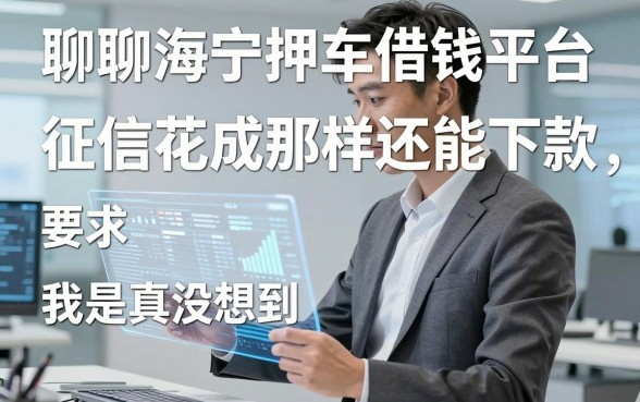 聊聊海宁押车借钱平台：征信花成那样还能下款，我是真没想到