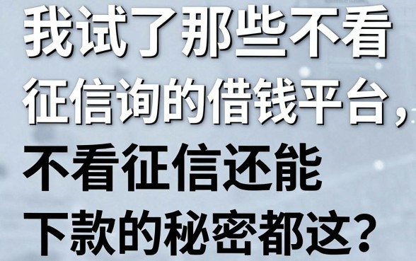 我试了那些不看征信查询的借钱平台，发现不看征信还能下款的秘密都在这