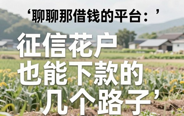 聊聊那些农村借钱的平台：征信花户也能下款的几个路子