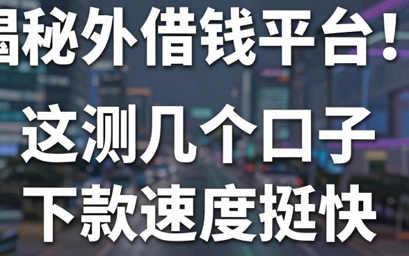 揭秘国外借钱平台：亲测这几个口子下款速度挺快