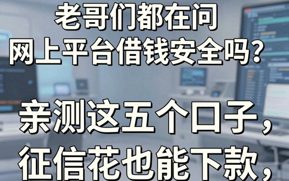 老哥们都在问网上平台借钱安全吗？亲测这五个口子，征信花也能下款