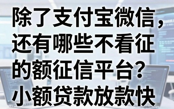 除了支付宝微信，还有哪些不看征信的小额贷款平台？实测这几个放款快