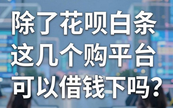 除了花呗白条，这几个购物平台可以借钱的功能你知道吗？