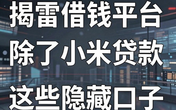 揭秘雷军借钱平台：除了小米贷款还有这些隐藏口子