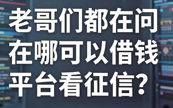 老哥们都在问在哪可以借钱平台不看征信？这几个口子亲测能下