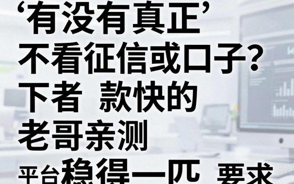 有没有真正不看征信或者下款快的口子？老哥亲测这五个平台稳得一匹