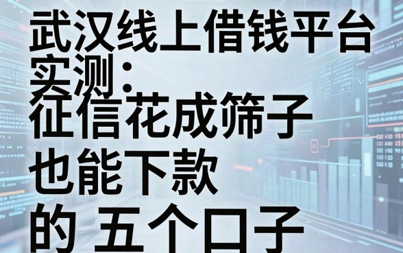 武汉线上借钱平台实测：征信花成筛子也能下款的五个口子