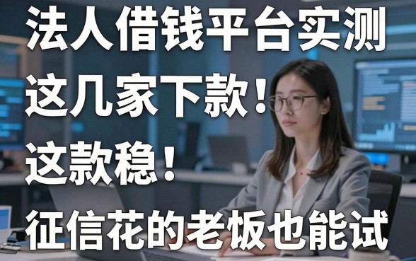 法人借钱平台实测：这几家下款稳，征信花的老板也能试