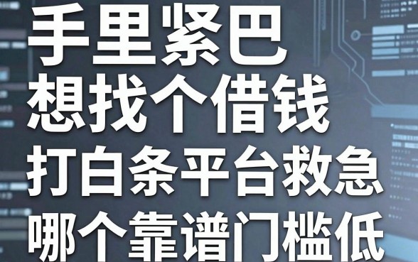 手里紧巴想找个借钱打白条平台救急，哪个靠谱门槛低？