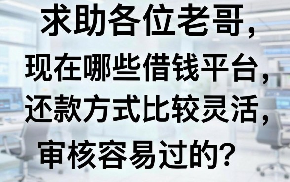 求助各位老哥，现在哪些借钱平台还款方式比较灵活，审核容易过的？