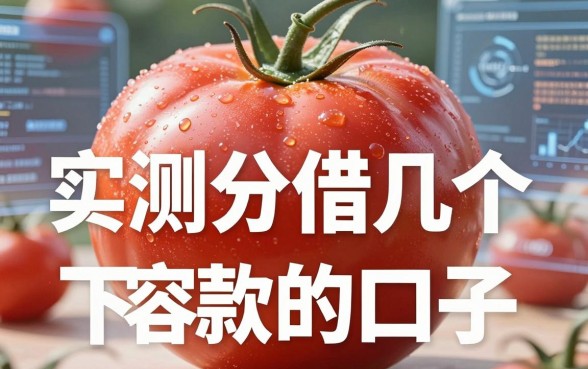 番茄平台借钱：实测分享几个容易下款的口子