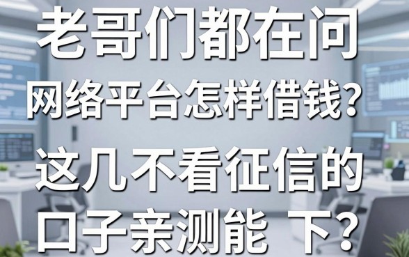 老哥们都在问网络平台怎样借钱？这几个不看征信的口子亲测能下