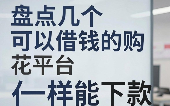 盘点几个可以借钱的购物平台，征信花了一样能下款