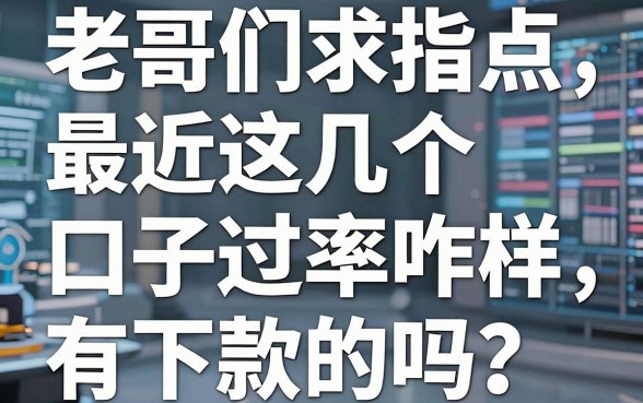 老哥们求指点，最近这几个口子通过率咋样，有下款的吗？