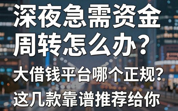 深夜急需资金周转怎么办？大借钱平台哪个正规？这几款靠谱推荐给你
