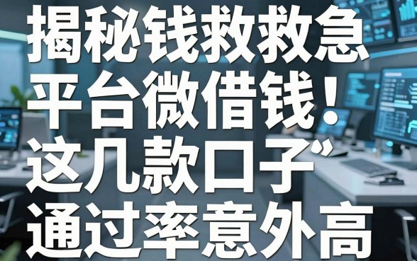 揭秘借钱救急平台微借钱：这几款口子通过率意外高
